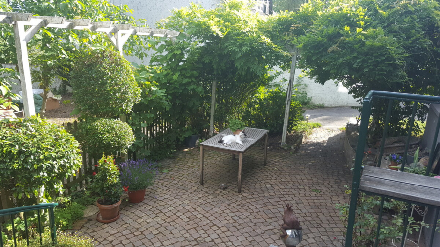 Terrasse - Charme und moderner Komfort. Saniertes Fachwerk-Denkmal.