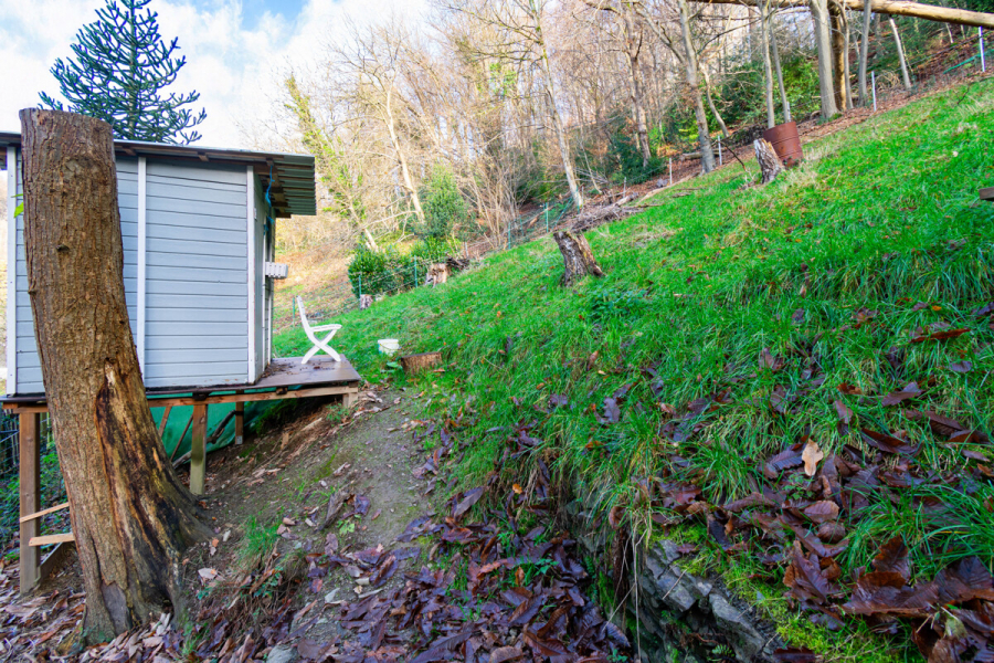 Grundstück - Ein Zuhause mit Charakter und Perspektive – charmantes Einfamilienhaus mit großem Grundstück und Potenzial zur Entfaltung