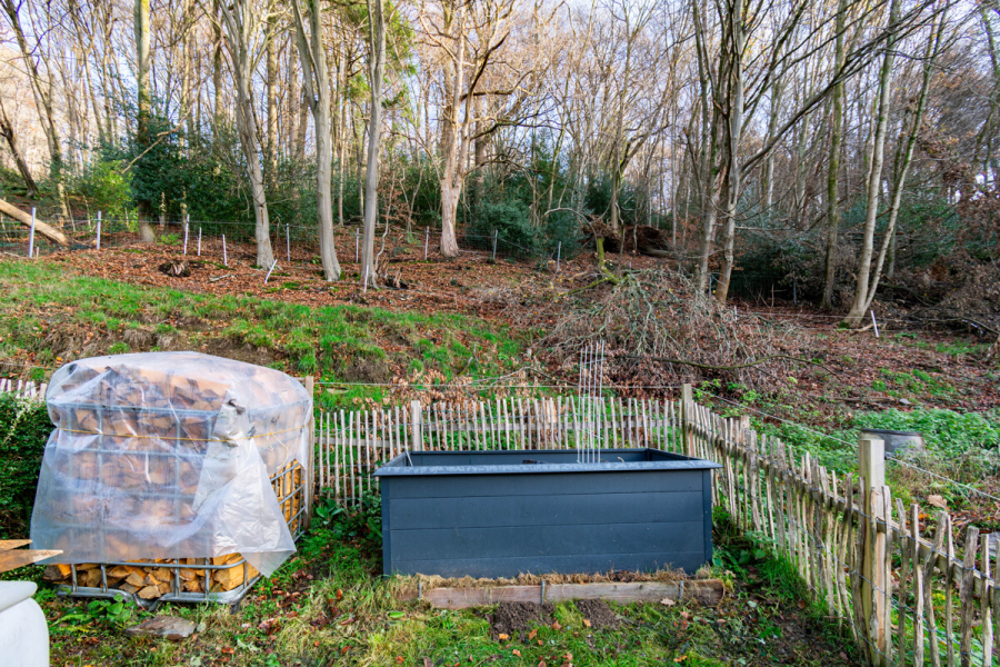 Grundstück - Ein Zuhause mit Charakter und Perspektive – charmantes Einfamilienhaus mit großem Grundstück und Potenzial zur Entfaltung