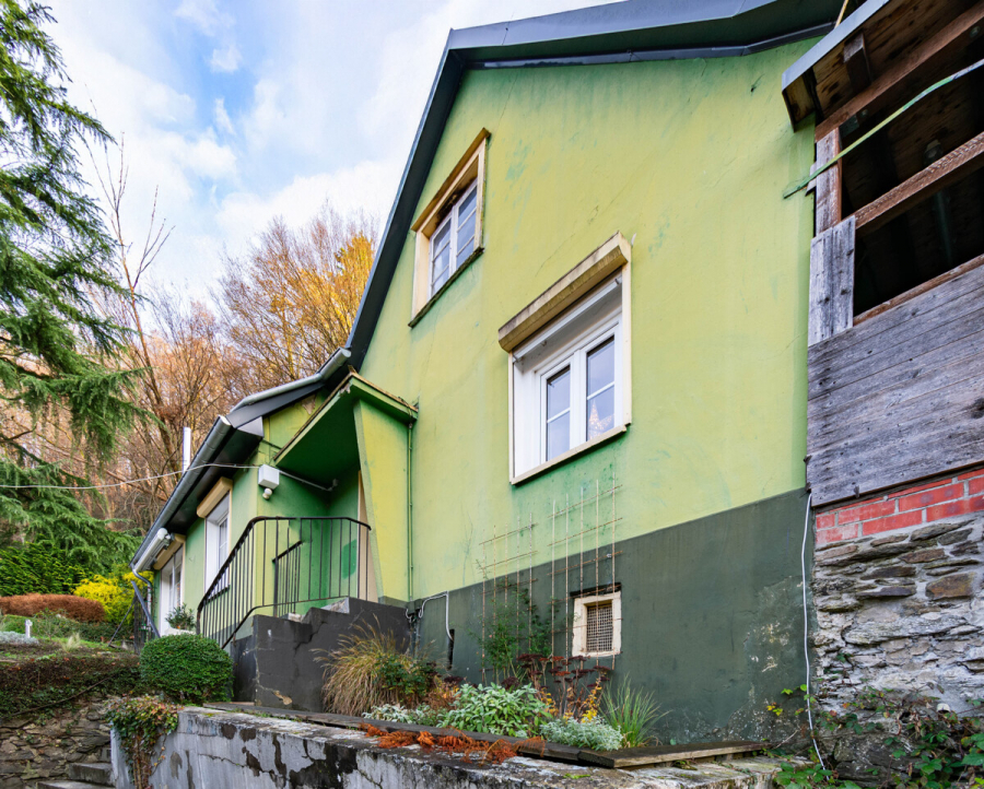 Immobilienansicht Gehweg - Ein Zuhause mit Charakter und Perspektive – charmantes Einfamilienhaus mit großem Grundstück und Potenzial zur Entfaltung