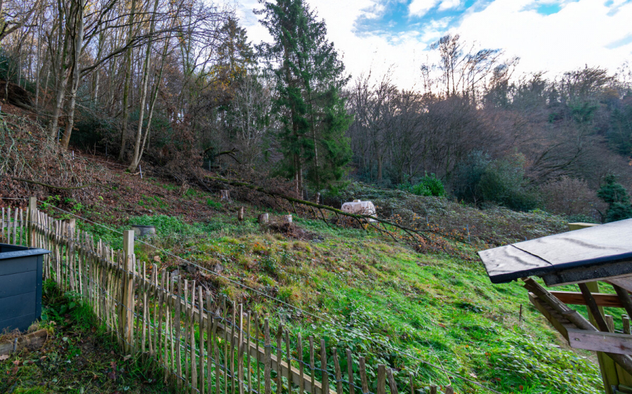 Grundstück - Ein Zuhause mit Charakter und Perspektive – charmantes Einfamilienhaus mit großem Grundstück und Potenzial zur Entfaltung